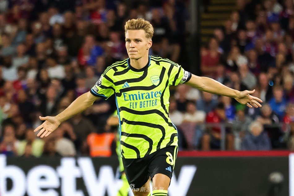 从而摘得冠 从而摘得冠